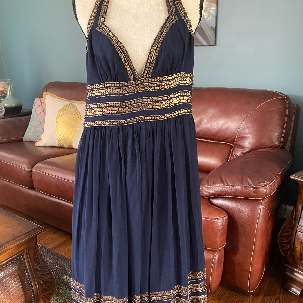 Beautiful Adrianna Pappell dress